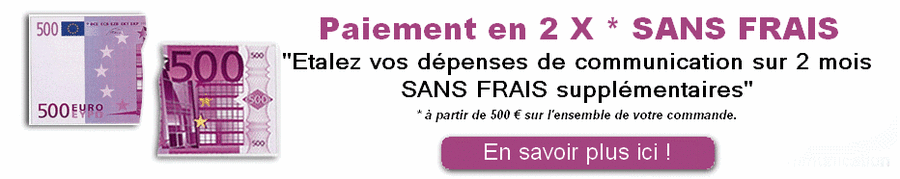 Paiement 2 X SANS FRAIS